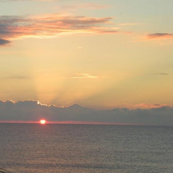 Meet your Posher, Debe - Picture 8 of 8